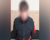 Полицейские задержали подозреваемого в истязании кота