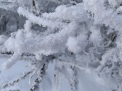 На Старый Новый год в Красноярский край придут морозы