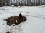 � ������ �������������� ������ ���������� � ������������� ������������� ���������