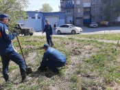 Около 50 саженцев лип и сосен появились на улице Арбузова 