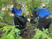 ������ ������� ������ ��������� ������ ������� �������