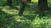 В городе Назарово уже начали покос травы, а назаровцев приглашают присоединиться в качестве разнорабочих