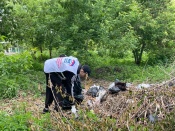 ������ ������ �������� �����. ���������� ��������� ��������� �� ������� ������