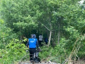 ������ ������ �������� �����. ���������� ��������� ��������� �� ������� ������