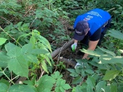Волонтёры «Единой России» устранили многолетнюю свалку из спиленных деревьев