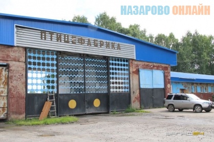 В Назаровском районе задолженность по заработной плате сотрудникам птицефабрики выплачена в полном о ...