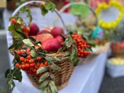 �������� ���� � �������� ������������� ���������