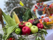 �������� ���� � �������� ������������� ���������