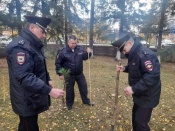 Назаровский полицейские заложили «Аллею ветеранов ОВД»