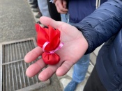 �� ������������ ���������� ���������� ������ �������� ������ �������� �������