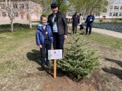 На территории гимназии №9 высадили новые деревья. Школьники посвятили их участникам  Великой Отечественной войны