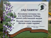 На территории гимназии №9 высадили новые деревья. Школьники посвятили их участникам  Великой Отечественной войны