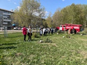 На территории гимназии №9 высадили новые деревья. Школьники посвятили их участникам  Великой Отечественной войны