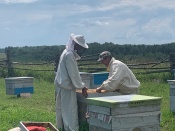 �������� ���������. � ����������� ������ ����, ��� � ���� �������� ���������� ���� 