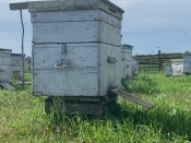 �������� ���������. � ����������� ������ ����, ��� � ���� �������� ���������� ���� 