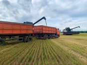 ��������� ����������: ������� ������� ������ �� ����� � ����������� ������