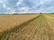 ��������� ����������: ������� ������� ������ �� ����� � ����������� ������