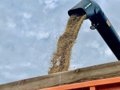 ��������� ����������: ������� ������� ������ �� ����� � ����������� ������