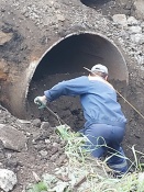 Решение многолетней проблемы: подрядчик приступил к ремонту ливневой канализации на Красноармейской