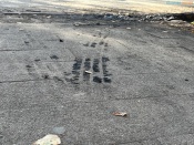 Назло и во вред. Назаровские водители продолжают игнорировать правила дорожного движения и ездят по тротуару