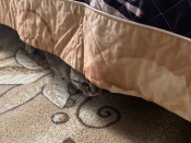 ���� ����������: � ������� ������ �� ��� ��� �� ��������� ������������ �����