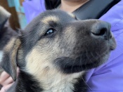 �������� ����. ��������� ������������ ����������� �� �����