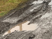 �� ������ �����������: ������ ����������� �������� �� ����� �������� �� ��� �������