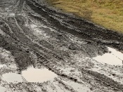 �� ������ �����������: ������ ����������� �������� �� ����� �������� �� ��� �������