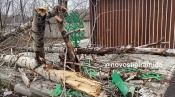 В городе Назарово ураганный ветер. Сотрудники МЧС просят соблюдать правила безопасности