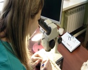 ���������� �� ������� ������ � ��� ��� ����� ����������� ��������