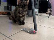 �������� ������: ����������� ������ ������ ���� � ��������� ��������� �������������� ������ 