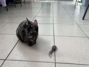 �������� ������: ����������� ������ ������ ���� � ��������� ��������� �������������� ������ 