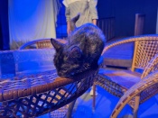 �������� ������: ����������� ������ ������ ���� � ��������� ��������� �������������� ������ 