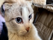 ���, ����, �����: ������ � ������� ����� ������ ������