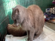 ���, ����, �����: ������ � ������� ����� ������ ������