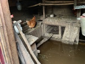 ������ �����������. ������� ���� ������ �� ��������� ����� �������� �������