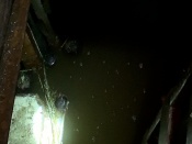 ������ �����������. ������� ���� ������ �� ��������� ����� �������� �������