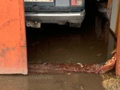 ������ �����������. ������� ���� ������ �� ��������� ����� �������� �������