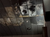 �����, ���� � ����������: ���������� ����������� ������� ���������� ��� �� ������ � ������� ���� ���������� ����������