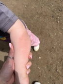 ����������� �����: ������� ���������� ���� ���� ����������� �� ����������� �����