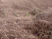 ����������� ����� ��������� � �������� ������ �� ��-�� ������