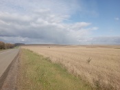 ����������� ����� ��������� � �������� ������ �� ��-�� ������