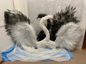 ����� ��� �� �������: ����� ����������� ���������� ����������� ����� ����� ������ �����������