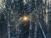 ������ ������� ������ 2026 ���� ����� ��������