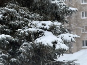 ������ ���� ������ ������ ������������� ��������� ����� �� ������������� ��������