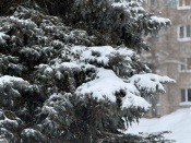 � ����� ������� ������ ���������� ��� ����������