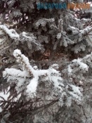 ���������������� ������������� �������������� �� ��������� �������� �������