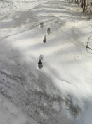 ������ ���������� � ���� ��������� ��������, ������ ������