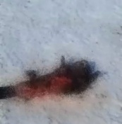 ���� ��� � ����� ��������� ������ � ����������� ������