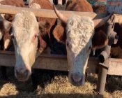 ���������� �������������������� �������� ��������� � ������������� �� ����������